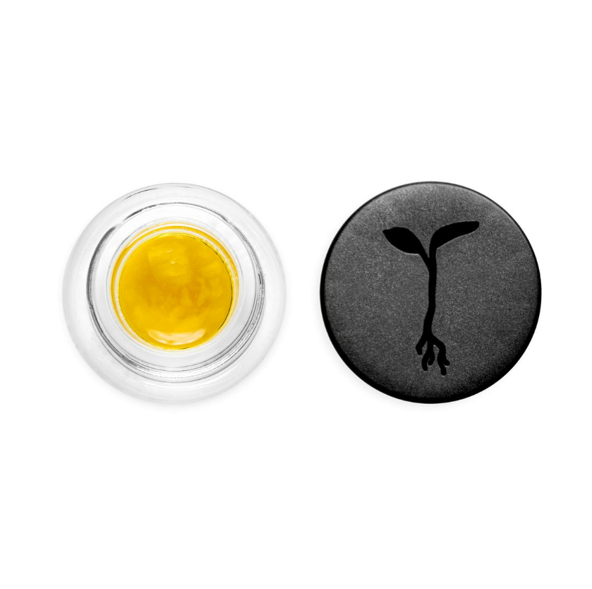 Kosher Chem Live Sauce
