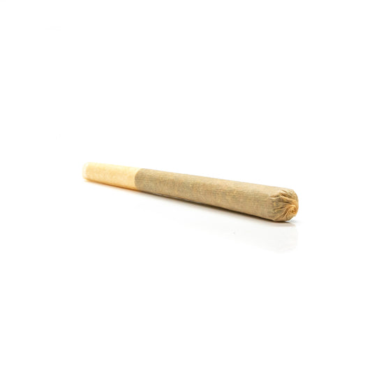 Purple Punch 1.2g Kingsize Preroll - Indica