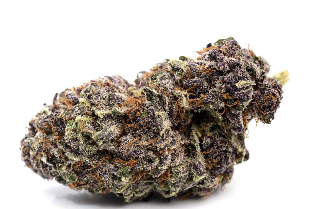 Pluto 85 28g Indoor Bigs - Indica